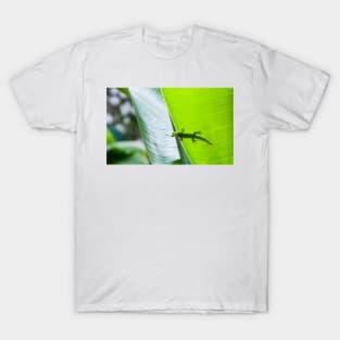 Small green gecko poking head over edge of tropical leaf with body silhouetted through leaf. T-Shirt